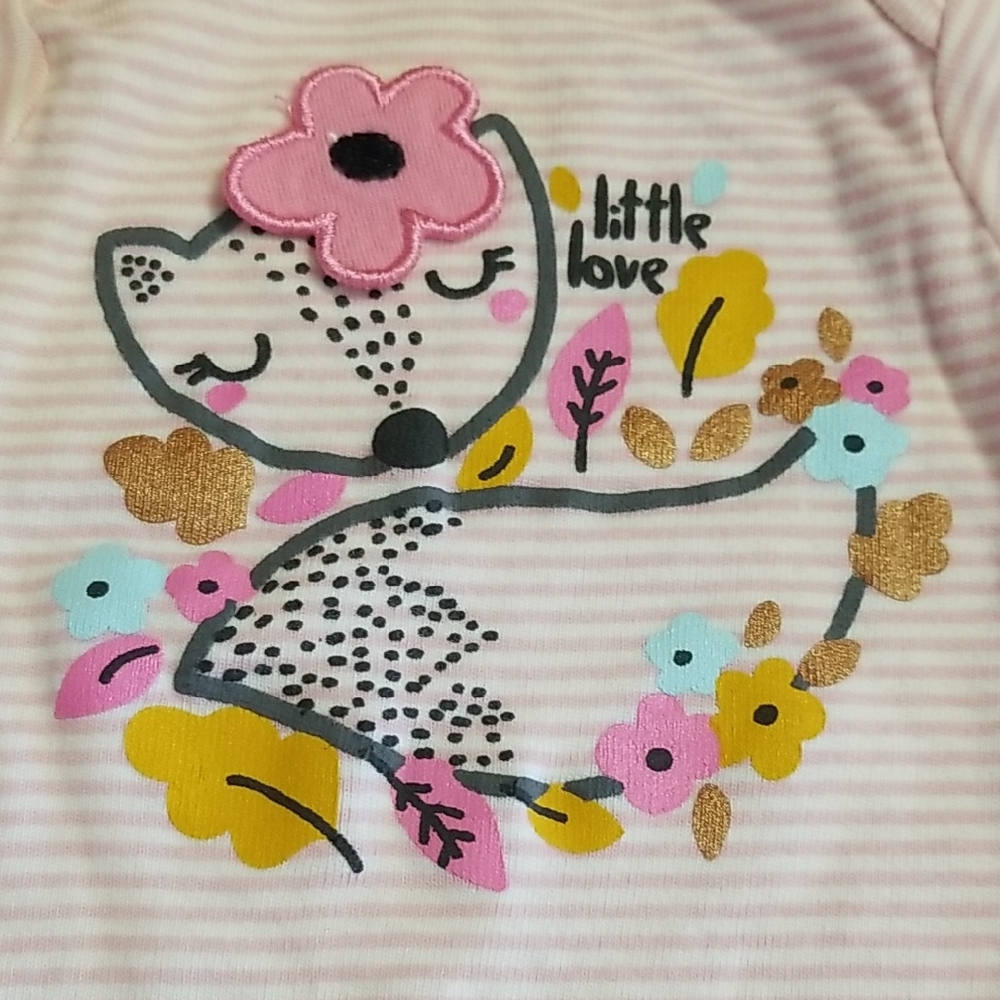 ❣5 for $25 Sale❣ Bundle Of Baby Onesies &  Ruffled Floral Pants